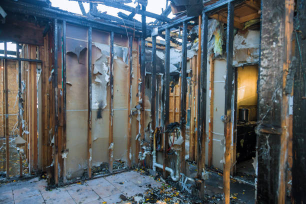 Professional Fire Damage Removal technician working in Elmhurst, IL